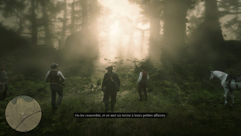 Red Dead Redemption 2 029