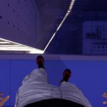 Legs_mirror&rsquo;sedge