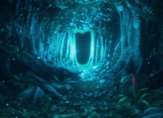 Green Hell sort d’accès anticipé avec un trailer