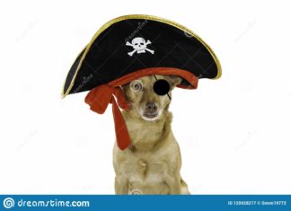 Sea of Thieves va recevoir des chiens