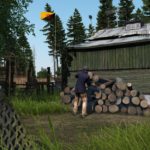 DayZ flag
