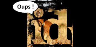 ID Software au pays des kangourous