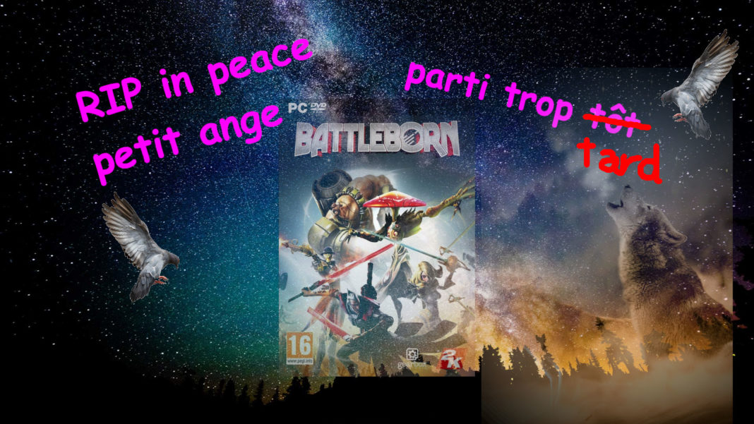 Battleborn