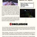 RETROFRAG #2 – mars 2021 (16)