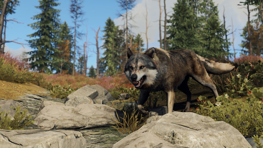 Rust Loup