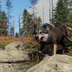 Rust Wolf