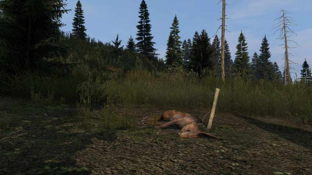 DayZ - Hunting trap