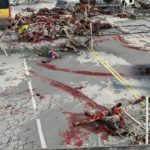 World War Z: Aftermath