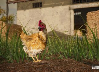 La mise à jour 14.2 de PlayerUnknown’s Battlegrounds introduit un poulet