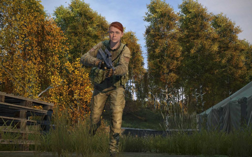 dayz 1.15 aug