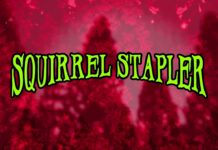 Squirrel Stapler, un jeu qui ravira nos amis de la PETA