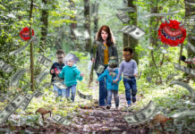 bons plans Nofrag du week-end en forêt
