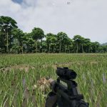 Gray Zone Warfare 13