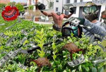 bons plans jardinage