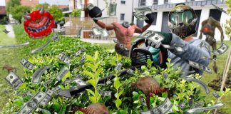 bons plans jardinage