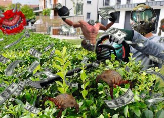 bons plans jardinage