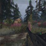 Dagger Directive