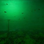 Full Fathom
