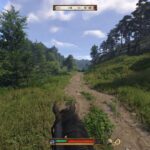 Kingdom Come Deliverance II 03