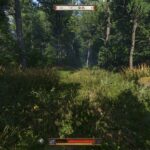 Kingdom Come Deliverance II 05