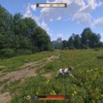 Kingdom Come Deliverance II