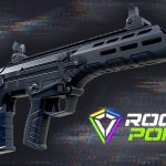 ROGUE POINT 1