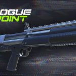 ROGUE POINT 4