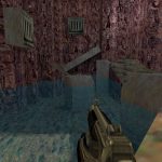 Half Life